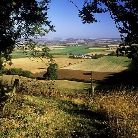 Wolds Cottage Pocklington Dış mekan fotoğraf